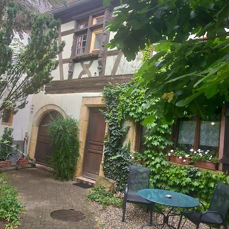 Studio La Grenouillere Turckheim Exteriér fotografie