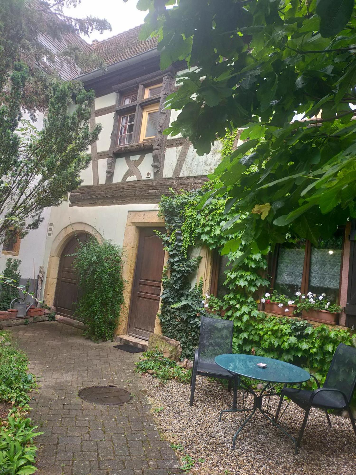 Studio La Grenouillere Turckheim Exteriér fotografie