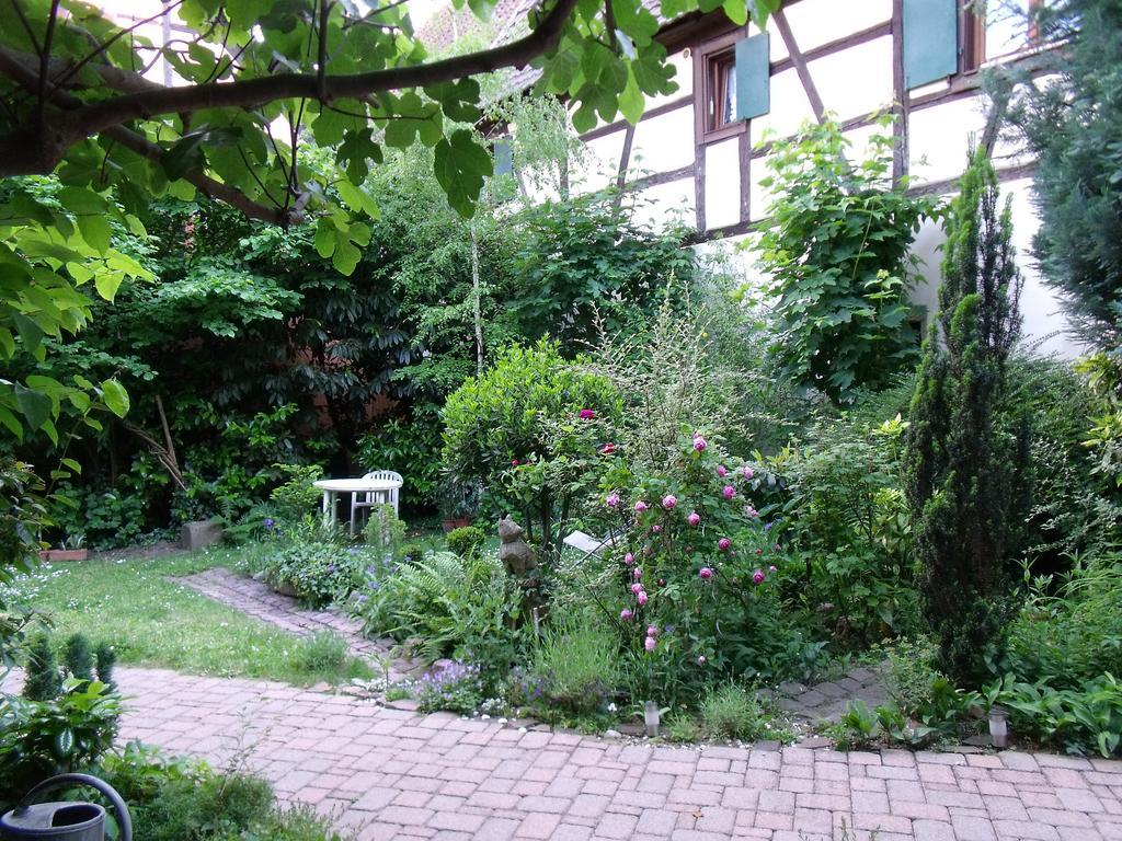 Studio La Grenouillere Turckheim Pokoj fotografie